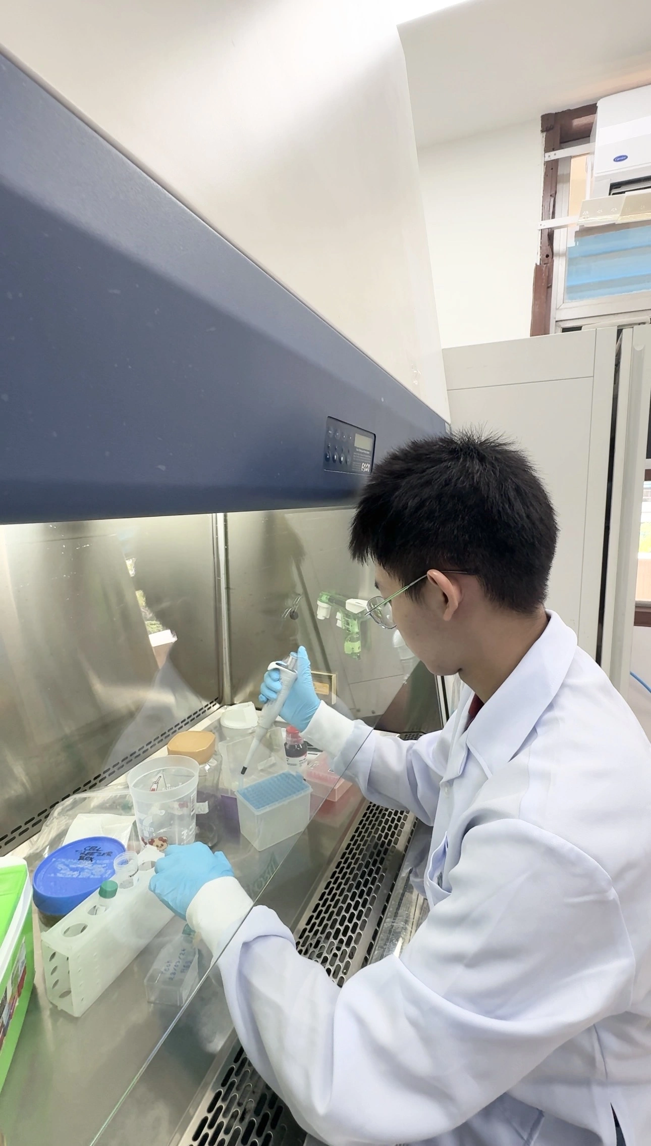 Watanyoo Putta pipetting in a biosafety cabinet during cell culture work